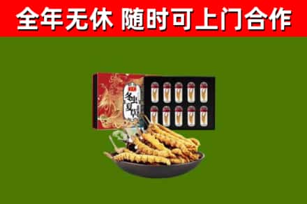 张掖回收冬虫夏草价格